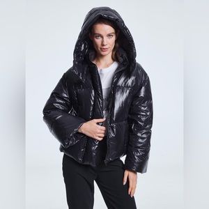 NWT Lattelier High Collar Cropped Hooded Puffer Jacket | Size: Medium